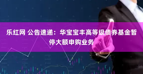 乐红网 公告速递：华宝宝丰高等级债券基金暂停大额申购业务