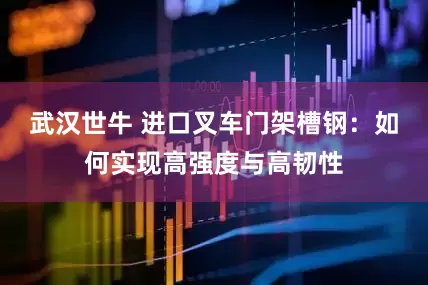 武汉世牛 进口叉车门架槽钢：如何实现高强度与高韧性