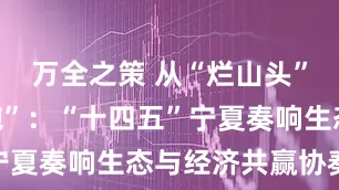 万全之策 从“烂山头”到“金饭碗”：“十四五”宁夏奏响生态与经济共赢协奏曲