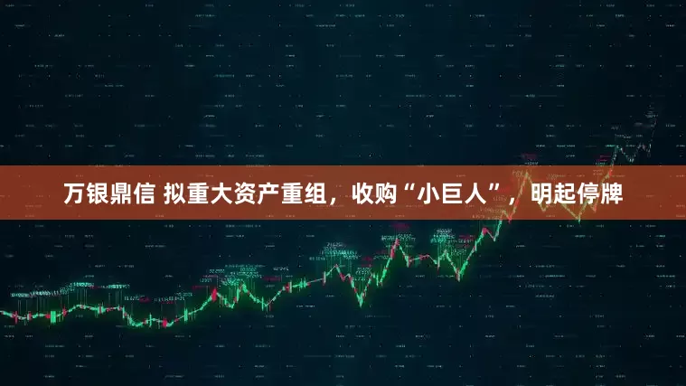 万银鼎信 拟重大资产重组，收购“小巨人”，明起停牌